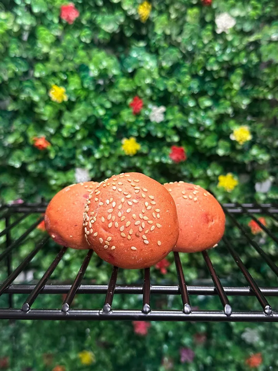 Mini Beterraga