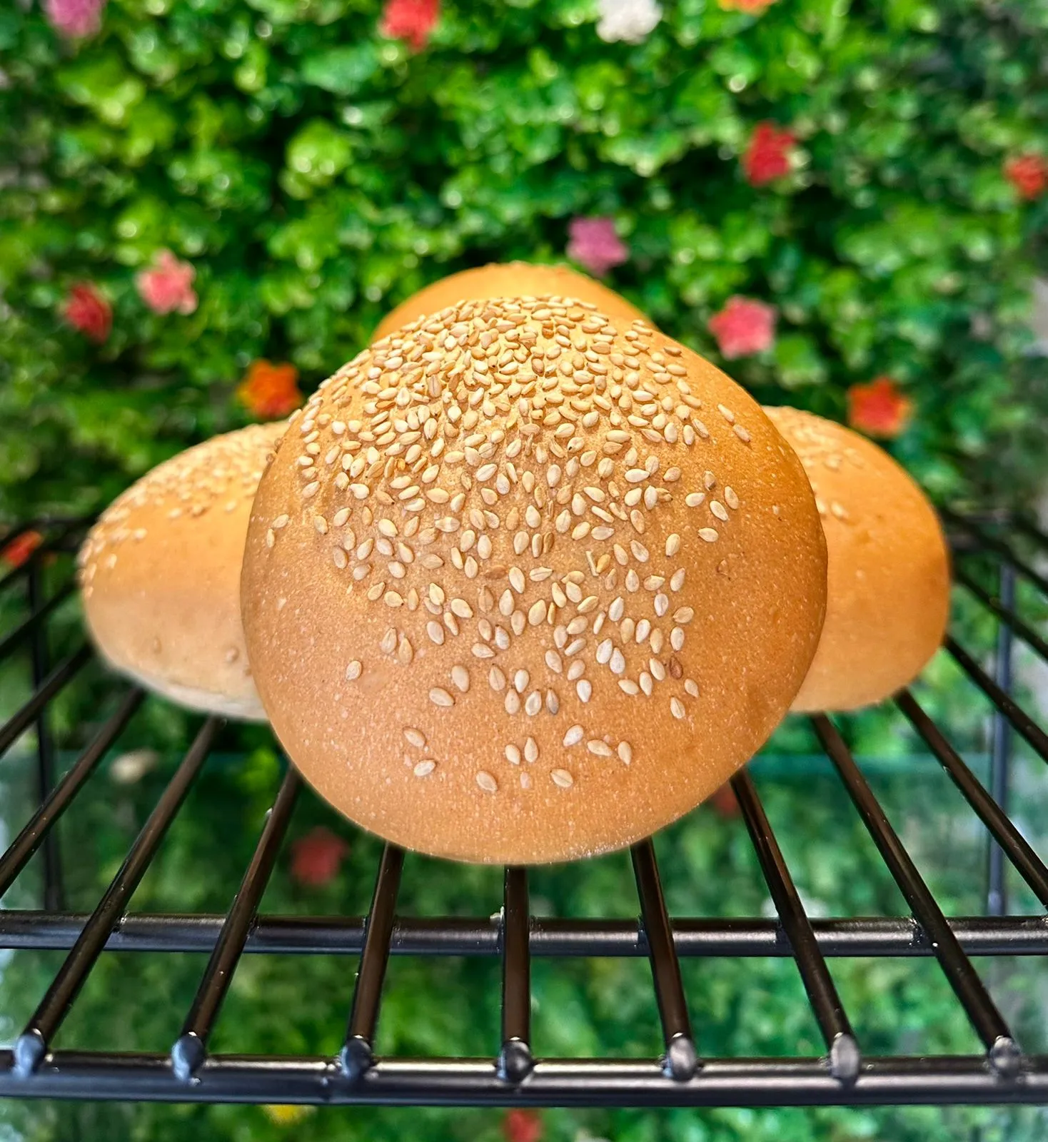 Pan de Ajonjolí