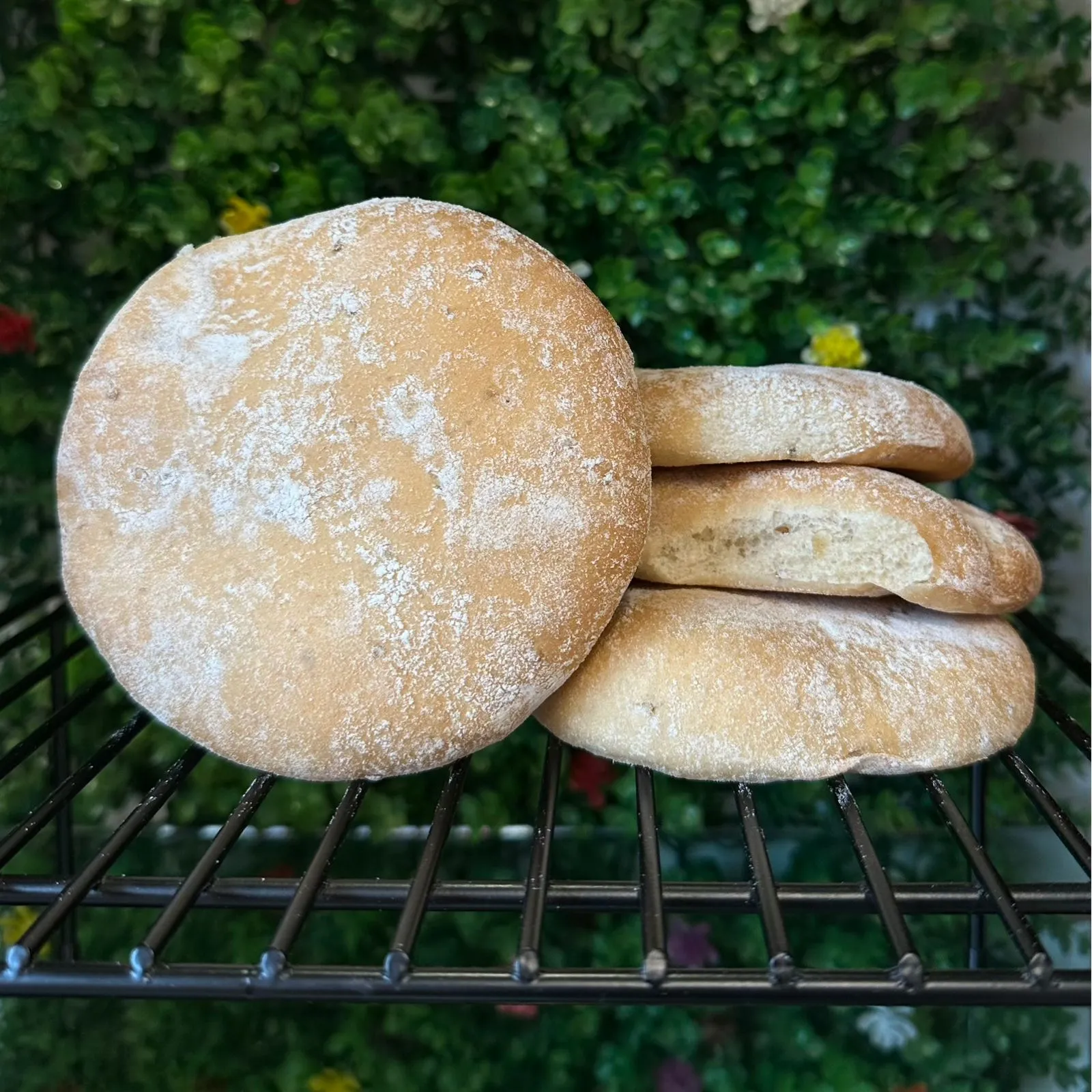 Pan Chapla