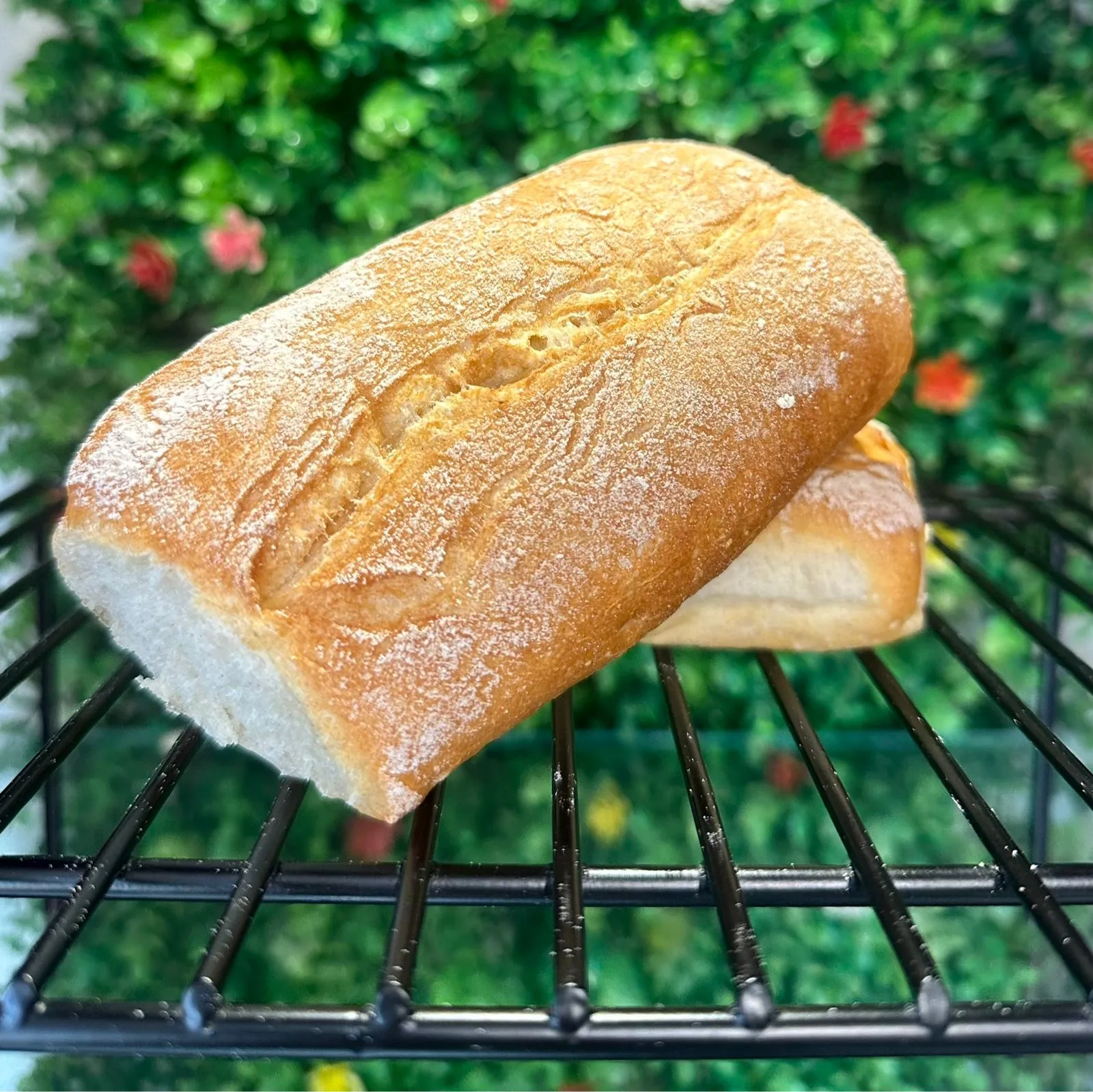 Pan Ciabatta
