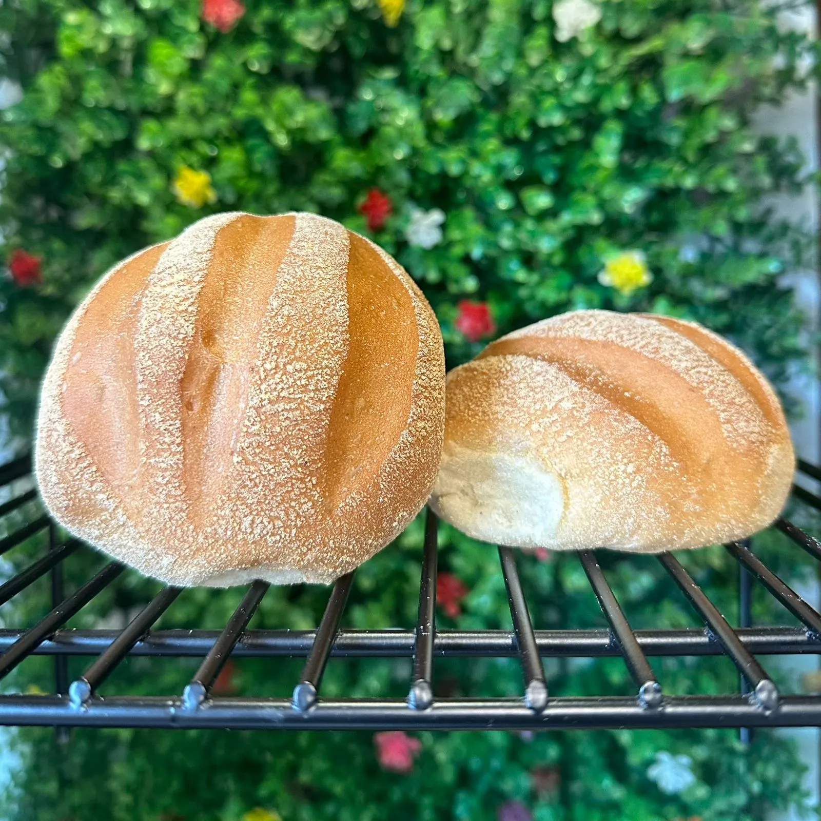 Pan de Maiz